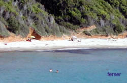 Cala Violina